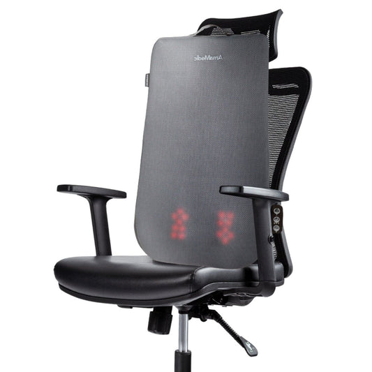 Back-to-School Relaxation Set (AM10027 Back Pad + Titan Ergo 9606P)